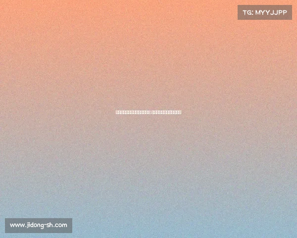 网球比赛的完整流程与规则解析 从热身到决胜局的全程解读